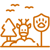 Content-Creator-Project (1)