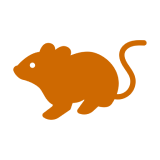 Simple orange mouse icon design