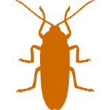 Simple cockroach icon illustration