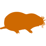 Simple orange rodent graphic design
